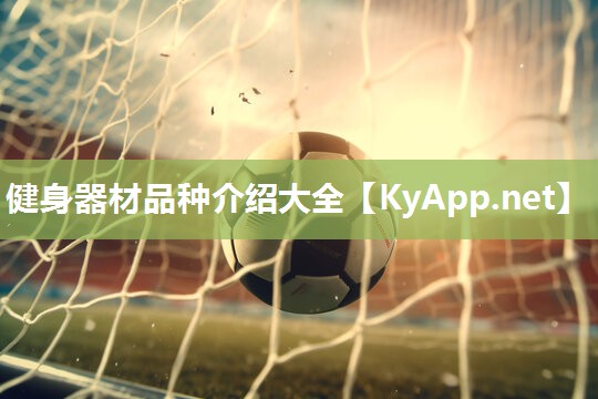 健身器材品种介绍大全